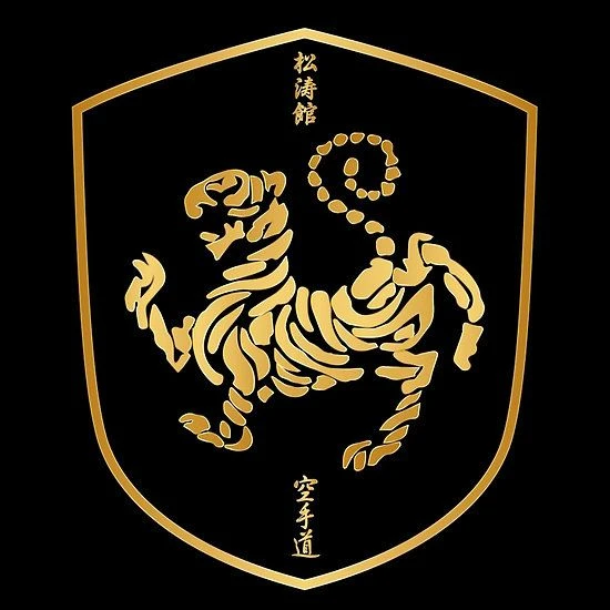United Shotokan karate Club